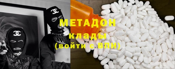 прущие грибы Верея