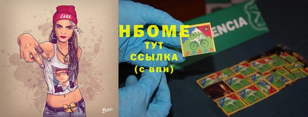 стаф Горняк