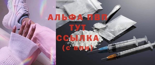стаф Горняк