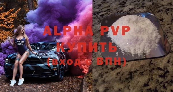 стаф Горняк