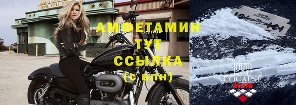 стаф Горняк