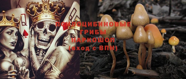 MDMA Горнозаводск