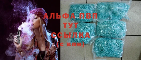стаф Горняк