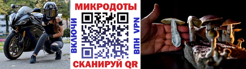 Псилоцибиновые грибы мухоморы  Завитинск 